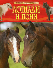 Лошади и пони. Детская энциклопедия