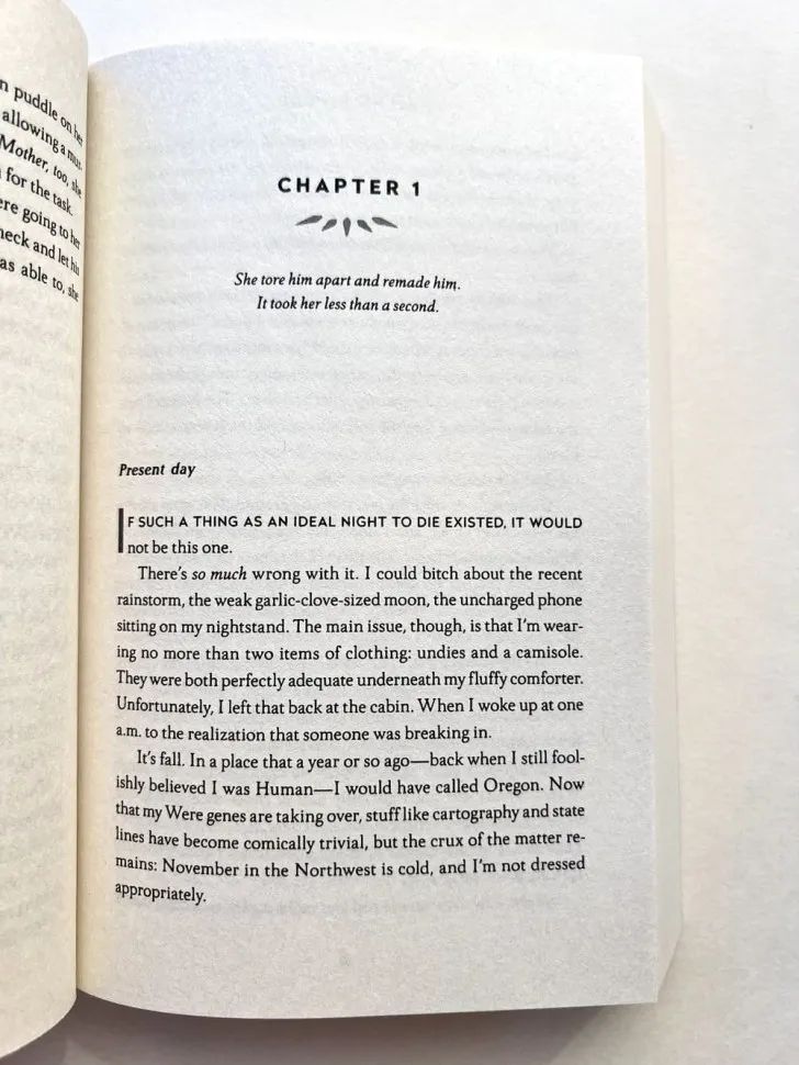 Mate (Ali Hazelwood) Приятель (Али Хейзелвуд) /Книги на английском языке