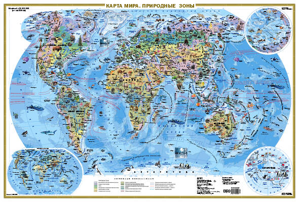 Карта мира. Природные зоны. Животные и растения (А0)