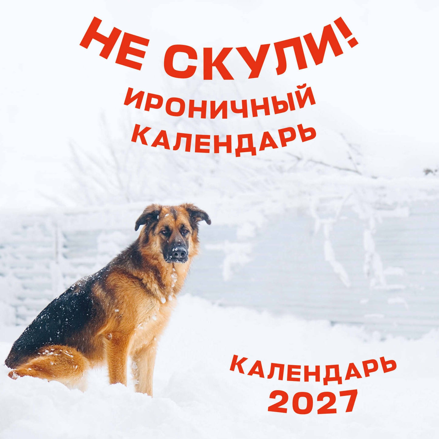 Не скули. Ироничный календарь настенный на 2027 год (300х300 мм)