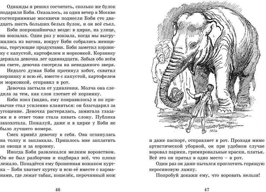 Мои звери