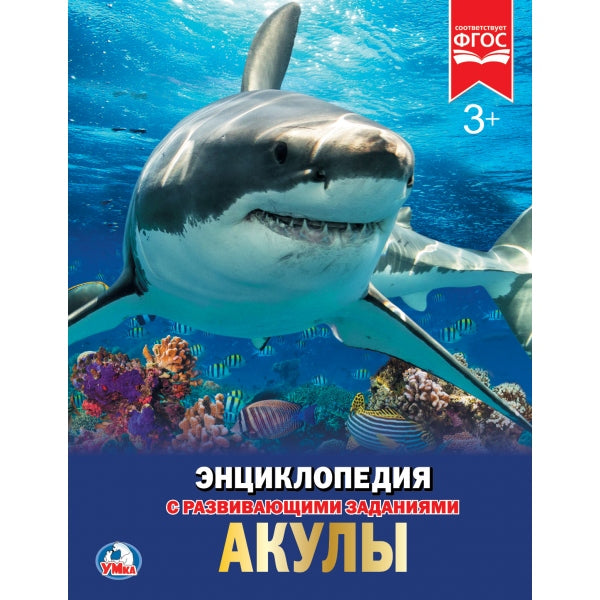 Акулы. (Энциклопедия А4 с развивающими заданиями). Формат: 197х255мм. Объем: 48 стр. Умка в кор.15шт