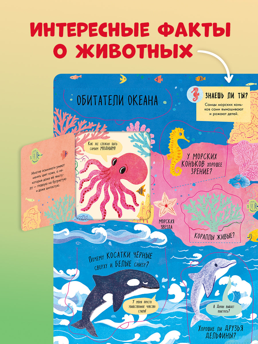 Книжка с окошками. Большая книга с окошками. Животные/Мосс Р.