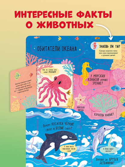 Книжка с окошками. Большая книга с окошками. Животные/Мосс Р.