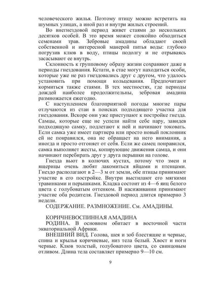 Певчие птицы