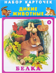 Дикие животные (20 карточек с европодвесом)