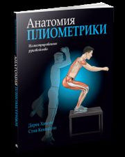 Анатомия плиометрики