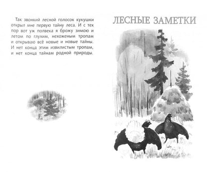 Лесное эхо