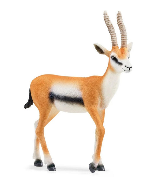 Schleich. Фигурка арт.14861 "Газель Томсона"