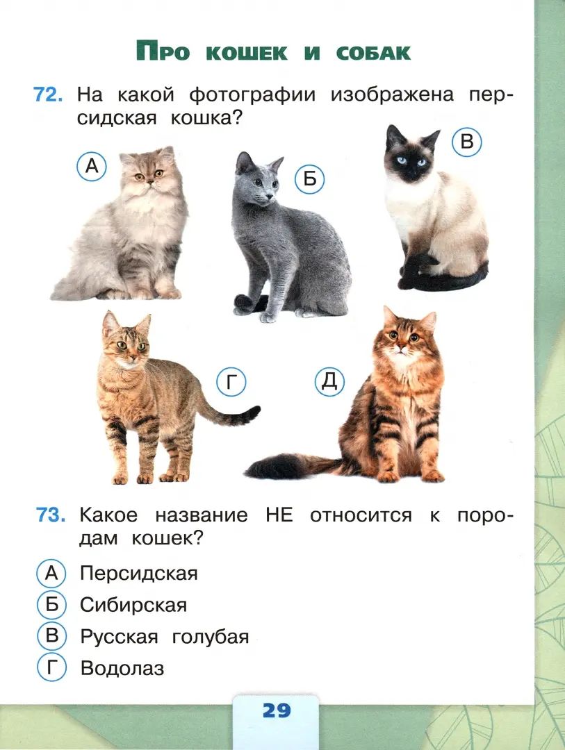 Плешаков. Окружающий мир. Тесты. 2 класс / к ФП 22/27