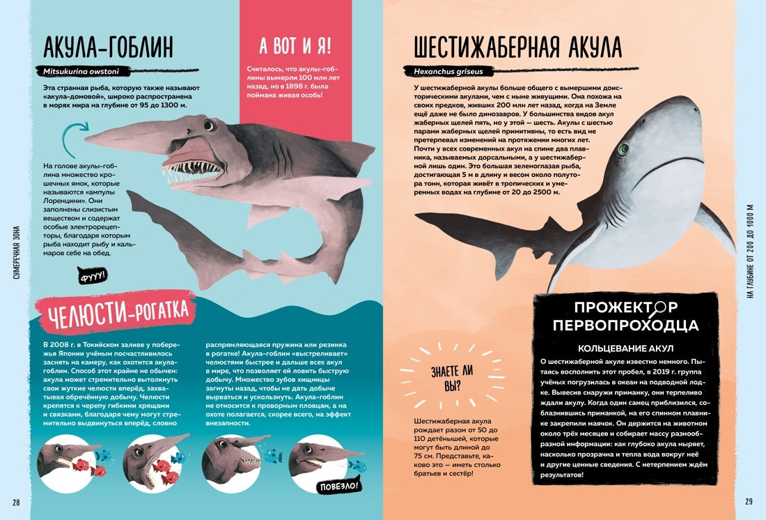 Мир вокруг тебя. Тайны мирового океана