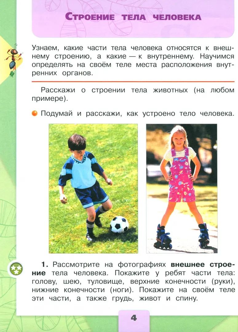 Плешаков Окружающий мир. 2 кл. (Приложение 1) Учебник. Часть 2 (Школа России) (15-е издание)