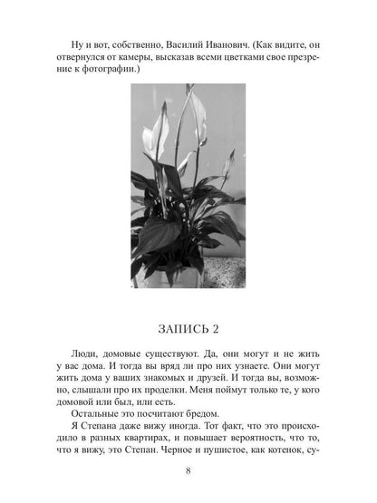 Кот, Домовой и Василий Иванович
