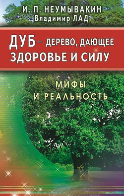 Дуб - Дерево, дающее здоровье и силу. Мифы и реальность