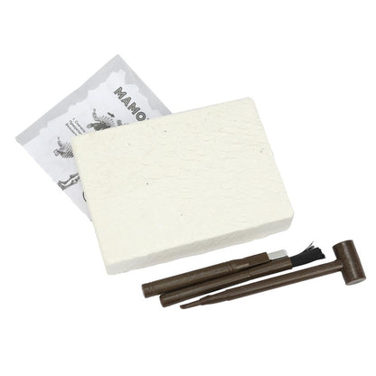 Раскопки раскопки, коробка IQ Эксперимент в кор.2*24шт