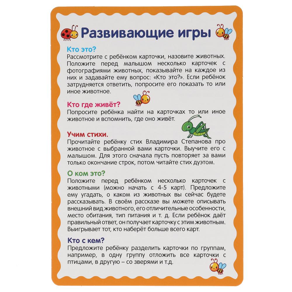 Развивающие карточки. В.А.Степанов. Кто где живет? (32 карточки) карт. 107х157 Умные игры в кор.32шт