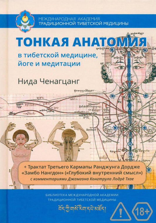 Тонкая анатомия в тибетской медицине, йоге и медитации. Ключ к энергетической структуре человека