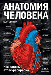 Анатомия человека: компактный атлас-раскраска