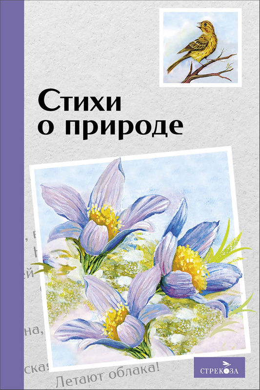 Мои первые наклейки 1+ Домашние животные