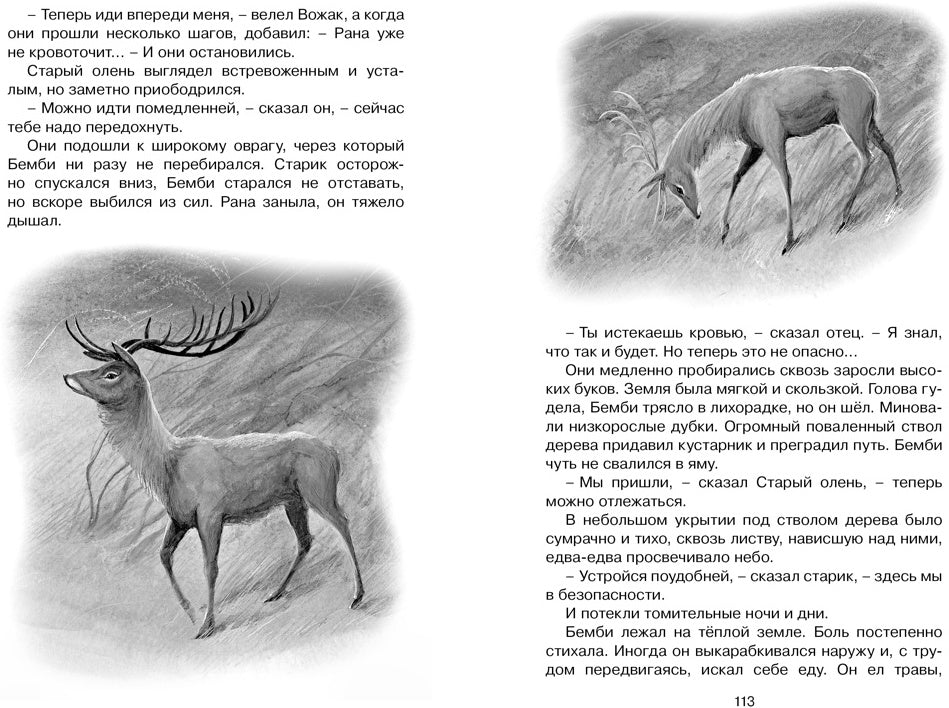 Бемби