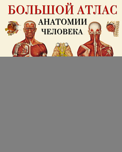 Большой атлас анатомии человека