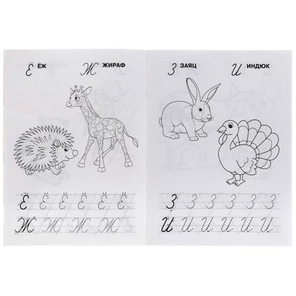 ПИШЕМ КУРСИВНЫЕ БУКВЫ. М.А. ЖУКОВА. IQ-ПРОПИСИ. 145Х195 ММ. 16 СТР. УМКА. в кор.50шт