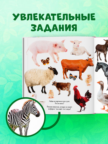 ГКМ. Найди и покажи. Фотокниги. Животные