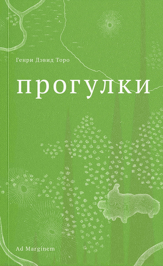 Прогулки