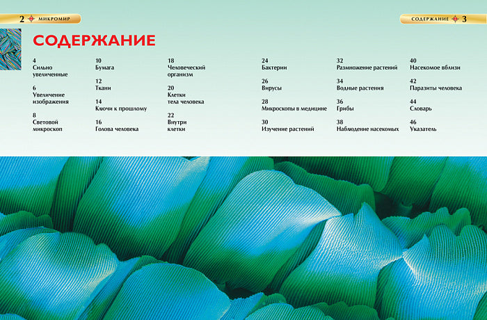 Микромир. Детская энциклопедия