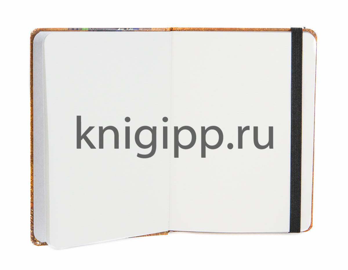СКЕТЧБУК А5. Густав Климт. ЗОЛОТАЯ АДЕЛЬ (выб.лак)