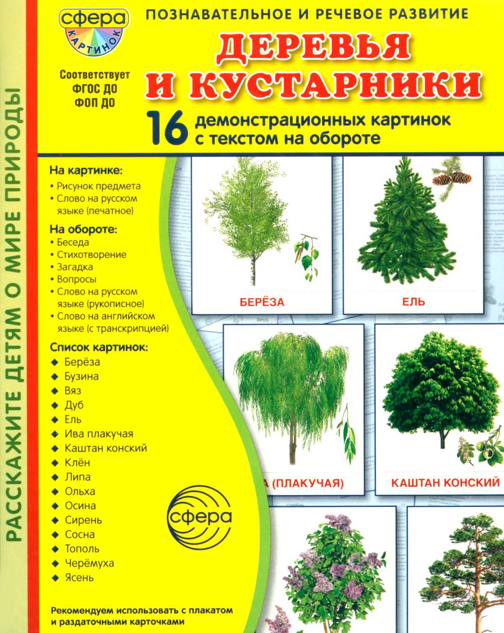 Дем. картинки СУПЕР Деревья и кустарники. 16 демонстрационных картинок с текстом В ПАПКЕ (173х220 мм)