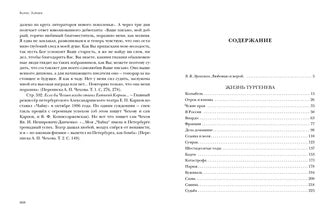 Жизнь Тургенева. Жуковский. Чехов : [романы-биографии] / Б. К. Зайцев ; предисл. В. В. Эрлихмана ; коммент. Т. Ф. Прокопова. — М. : Нигма, 2022. — 672 с. — (Красный каптал).