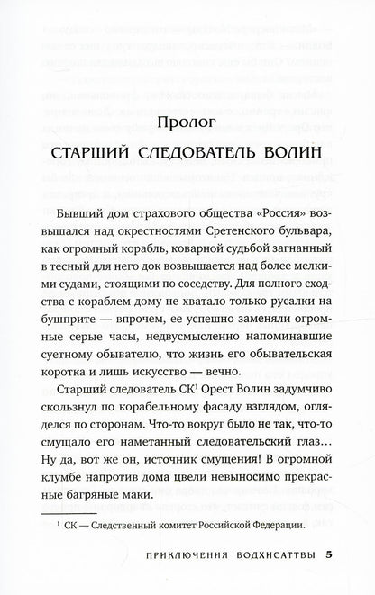 Приключения бодхисаттвы: роман