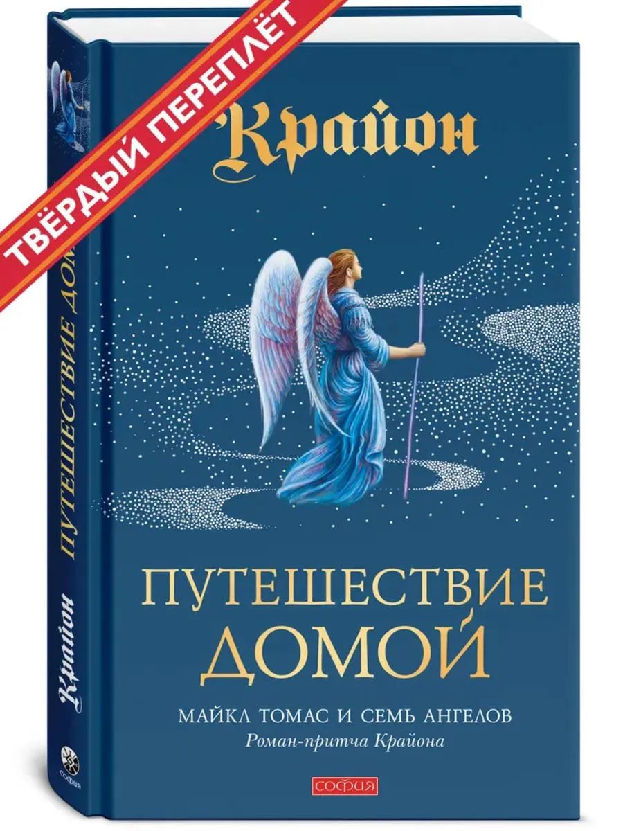 Путешествие домой (тв.)