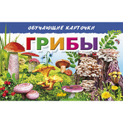 Карточки. Грибы ; Карточки. Грибы
