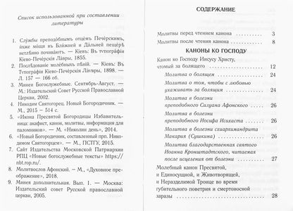 Каноны о болящих "Исцели нас, Боже" (Синопсисъ)