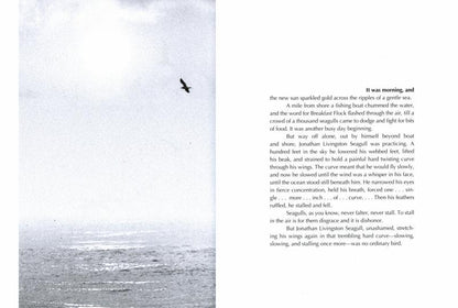 Jonathan Livingston Seagull : A Story
