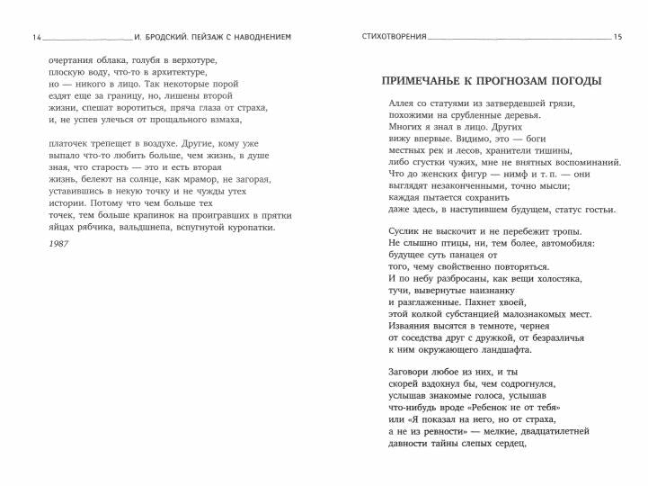Рип.Бродский.Пейзаж с наводнением:стих(н.о)