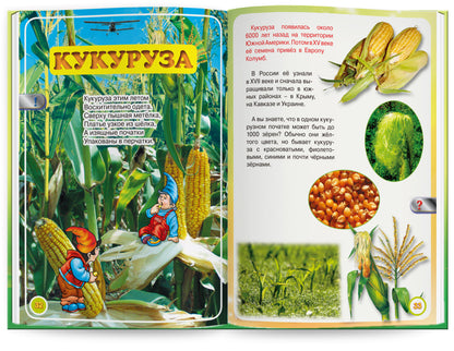 Весёлый огород" автор Н.Томилина. Книга для говорящей ручки "ЗНАТОК". Из комплекта "Мы познаём мир"- 3