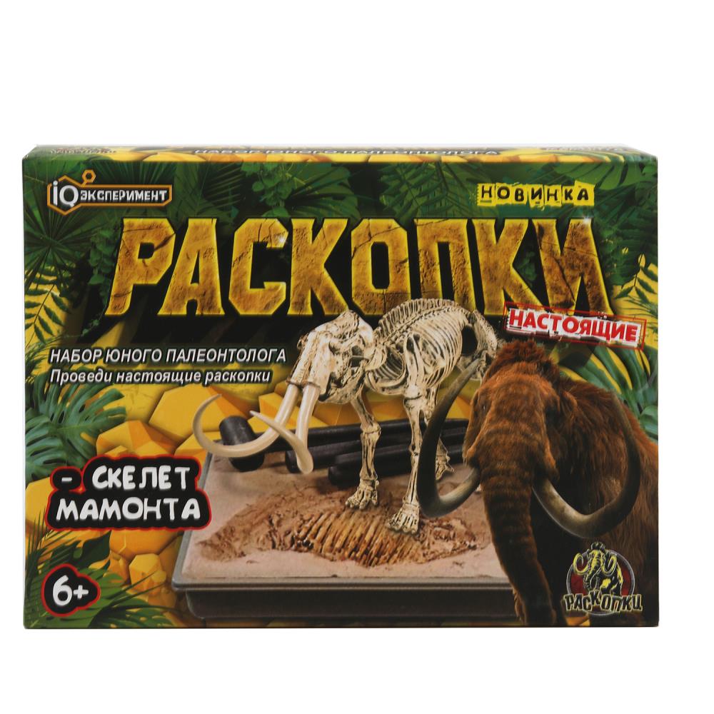 Раскопки раскопки, коробка IQ Эксперимент в кор.2*24шт