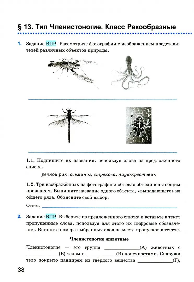 Богданов. УМК. Рабочая тетрадь по биологии 7кл. Пасечник. ФГОС (к новому ФПУ)