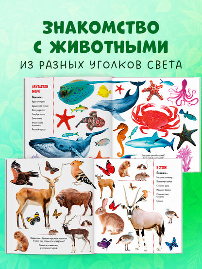 ГКМ. Найди и покажи. Фотокниги. Животные