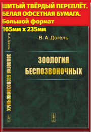 Зоология беспозвоночных