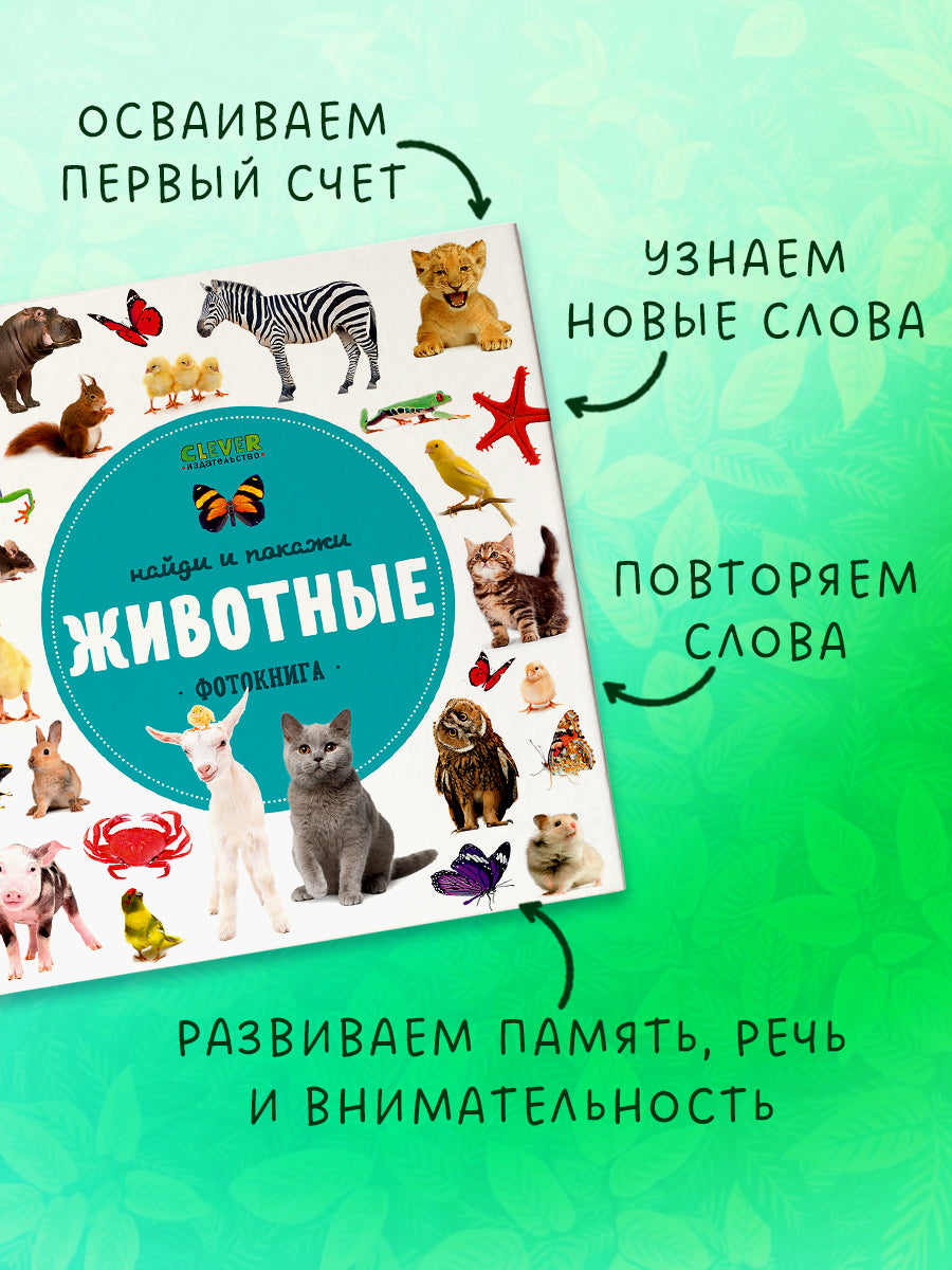ГКМ. Найди и покажи. Фотокниги. Животные