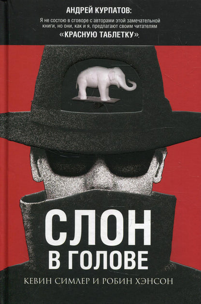 Слон в голове. Скрытые мотивы в повседней жизни