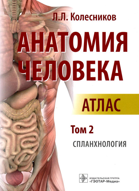 Анатомия человека : атлас : в 3 т. Т. 2. Спланхнология / автор-составитель Л. Л. Колесников. — Москва : ГЭОТАР-Медиа, 2023. — 672 с. : ил.