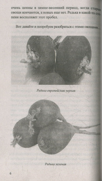 Редька. Мифы и реальность