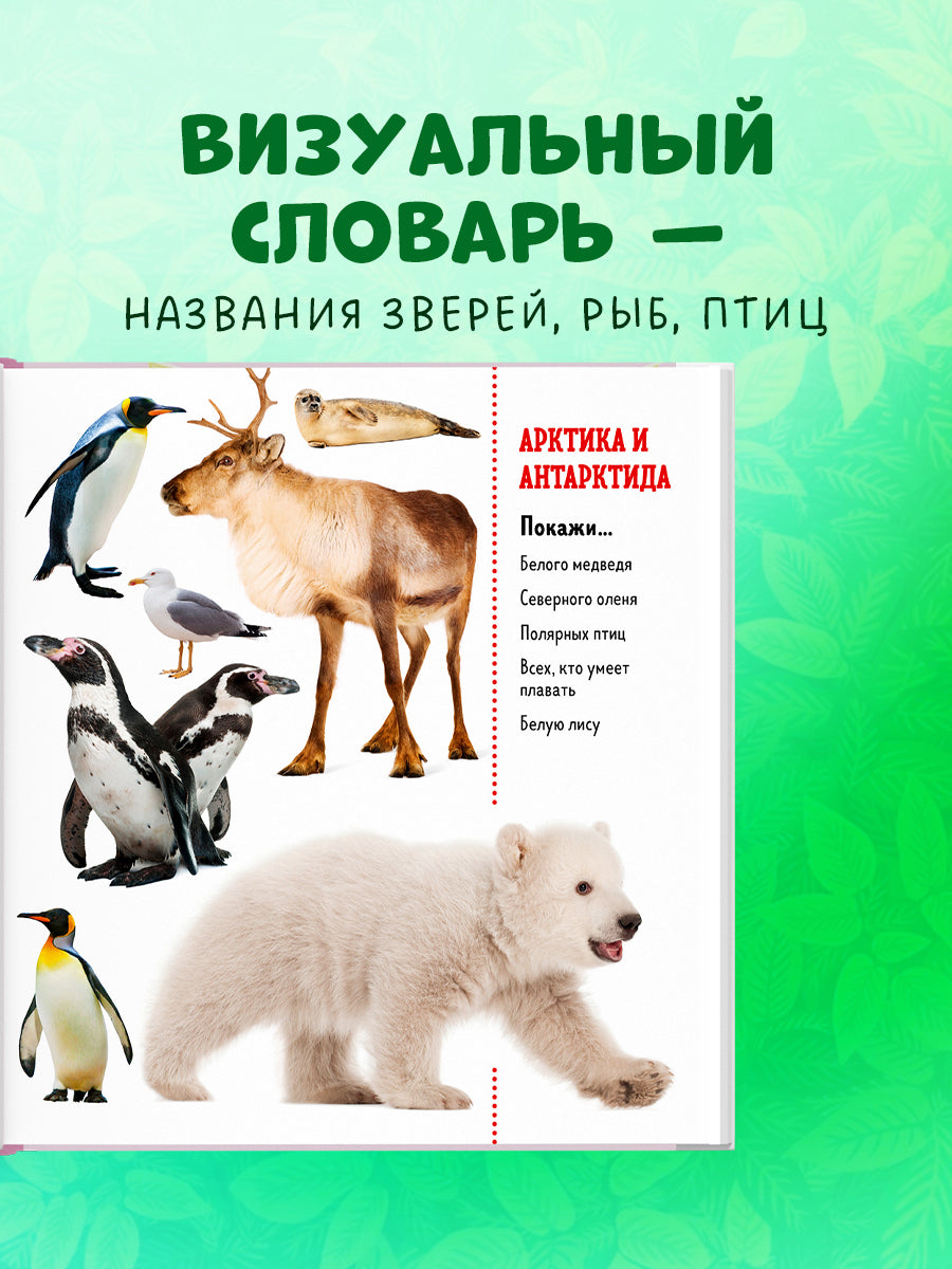 ГКМ. Найди и покажи. Фотокниги. Животные