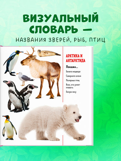 ГКМ. Найди и покажи. Фотокниги. Животные