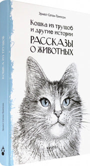 Кошка из трущоб и другие истории